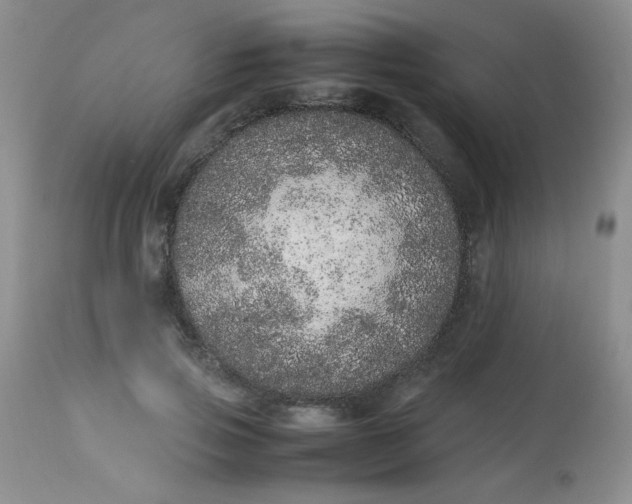 X0000113560741200910091414