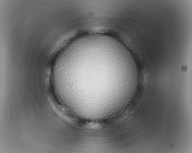 X0000113560742200910091414