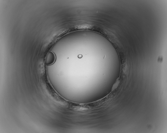 X0000113560743200910091414