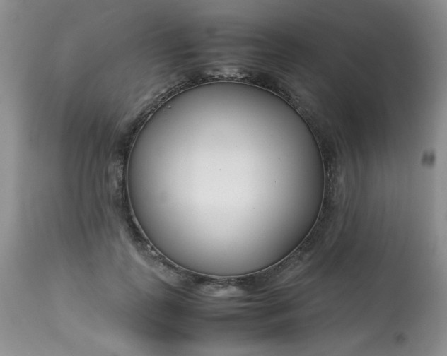 X0000113560747200910091414