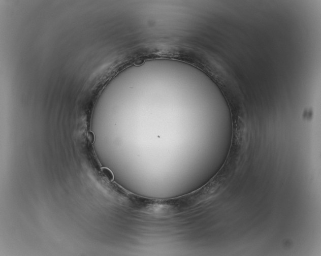 X0000113560748200910091414