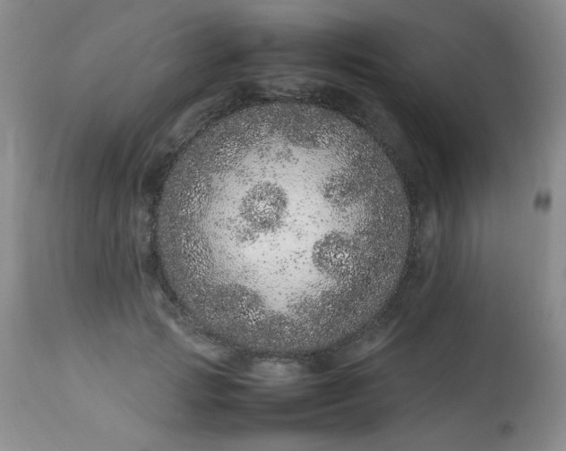 X0000113560749200910091414