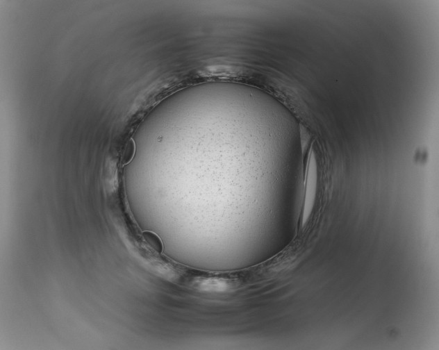 X0000113560751200910091414