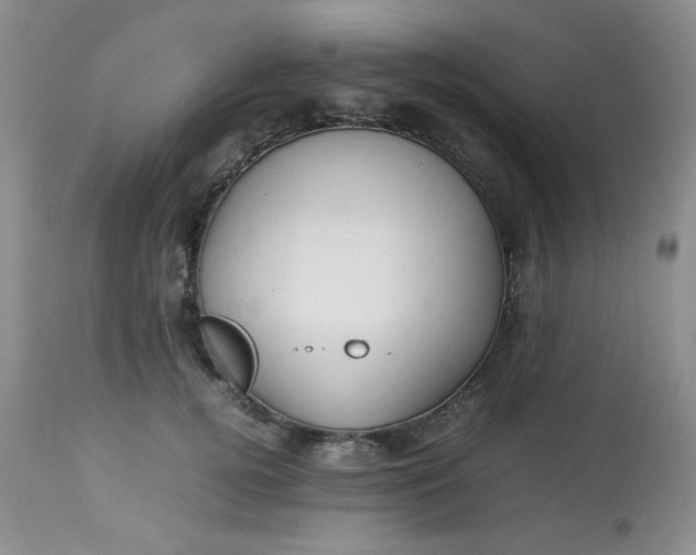 X0000113560752200910091414