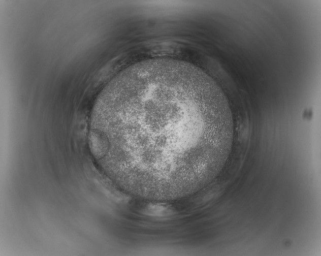 X0000113560753200910091414