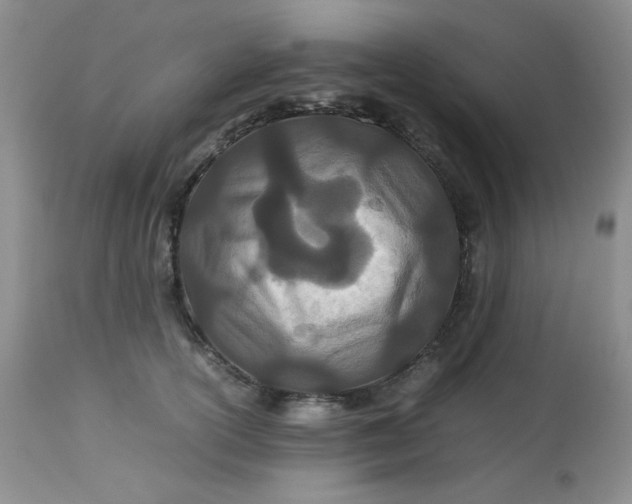 X0000113560754200910091414