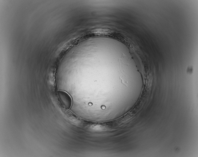 X0000113560755200910091414