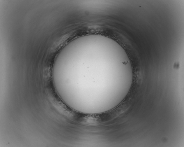 X0000113560756200910091414