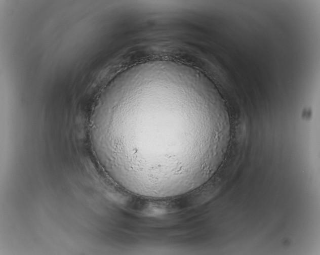 X0000113560757200910091414