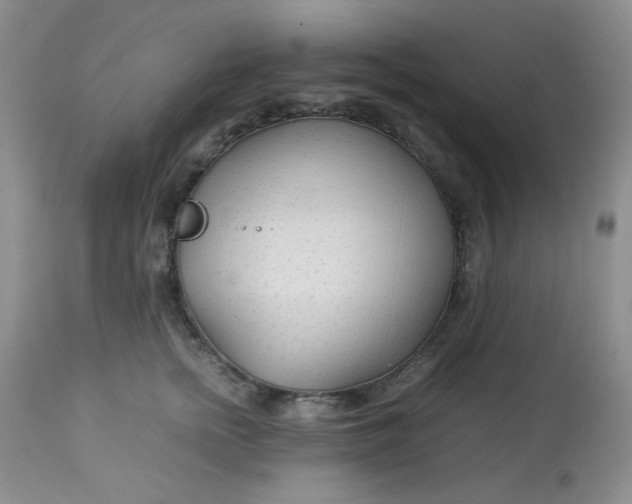 X0000113560758200910091414