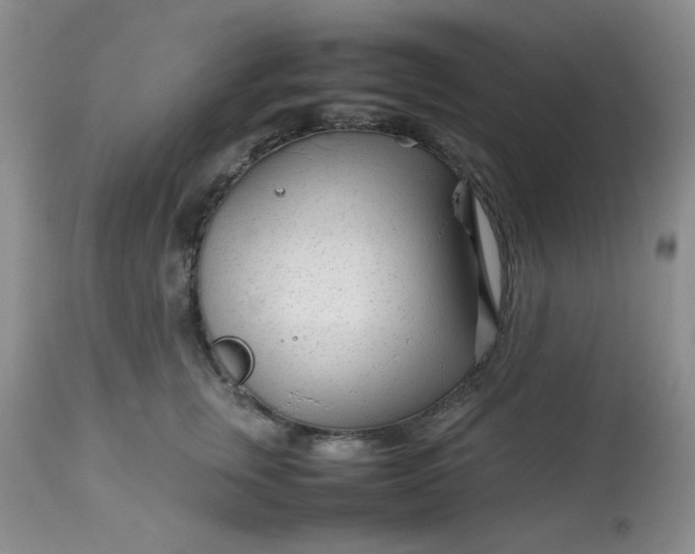 X0000113560759200910091414