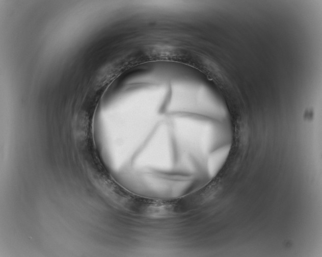 X0000113560760200910091414