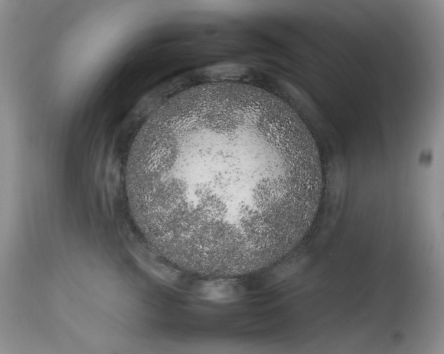 X0000113560761200910091414