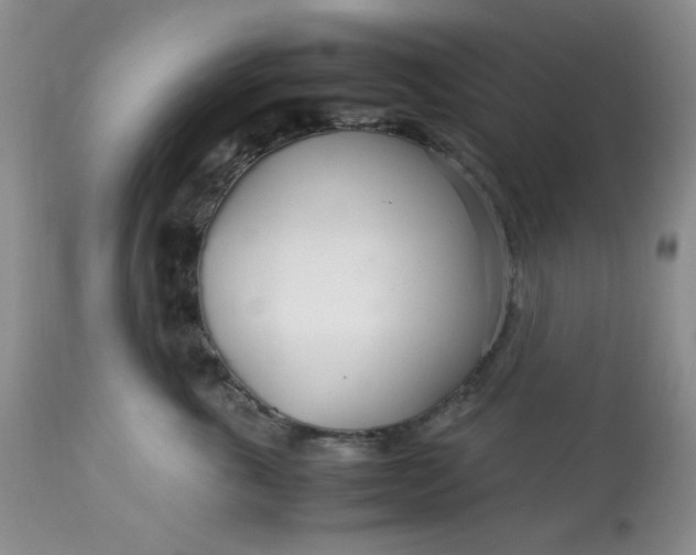 X0000113560763200910091414