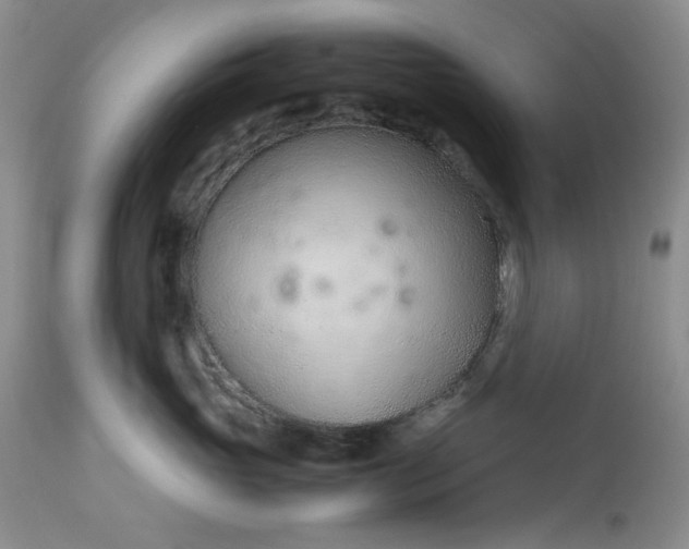 X0000113560765200910091414