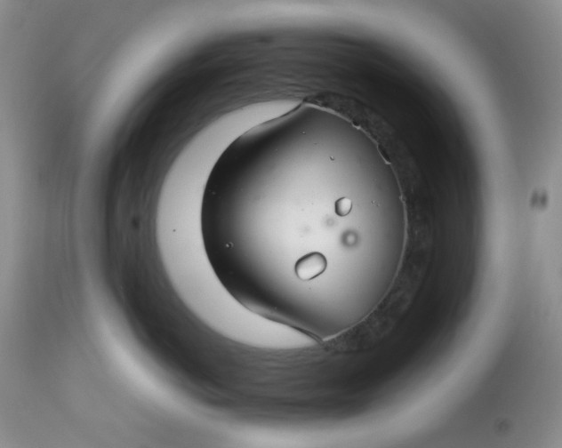 X0000113560766200910091414