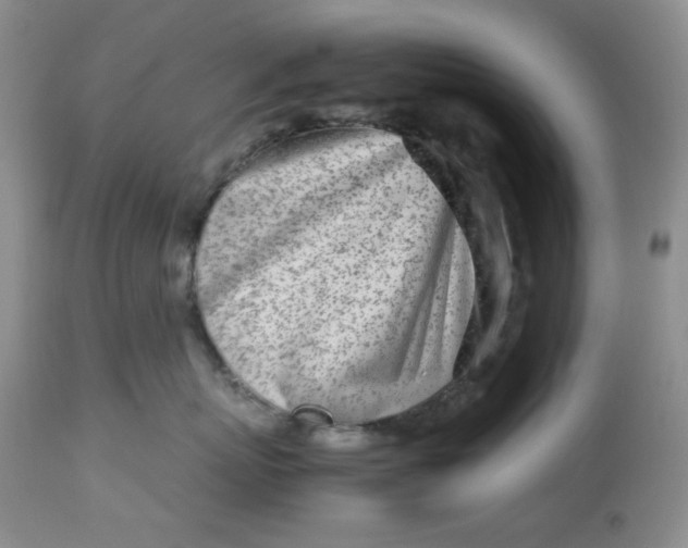 X0000113560767200910091414