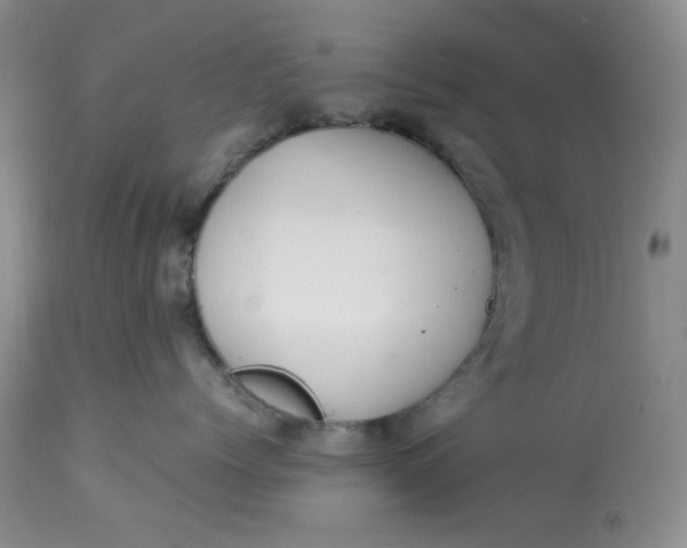 X0000113560768200910091414