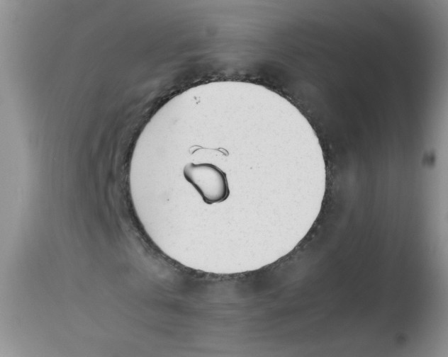 X0000113560769200910091414