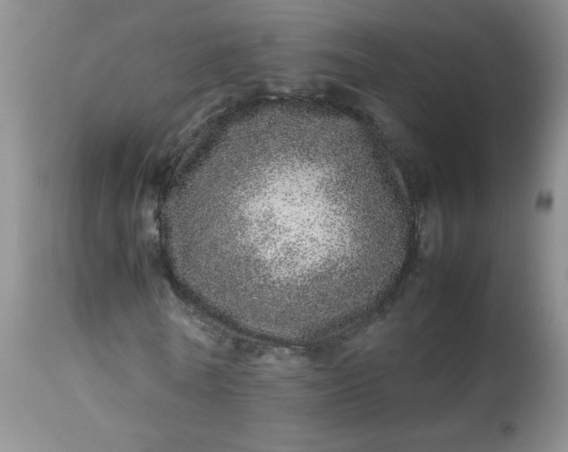 X0000113560770200910091414