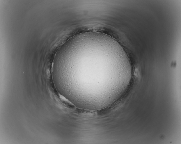 X0000113560771200910091414