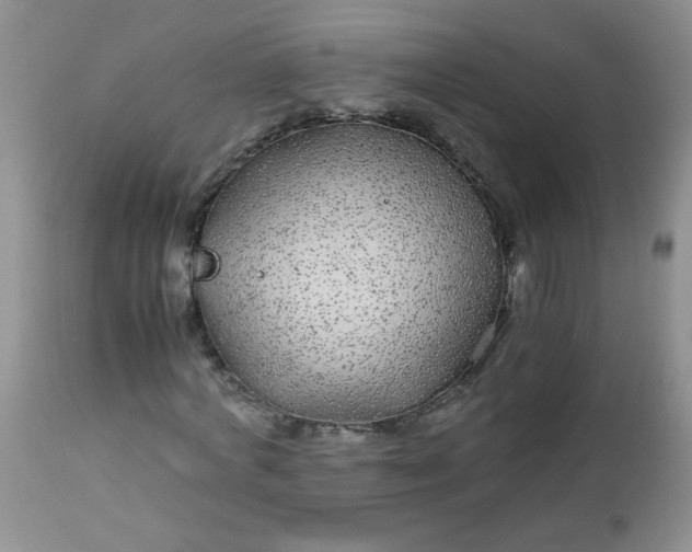 X0000113560772200910091414