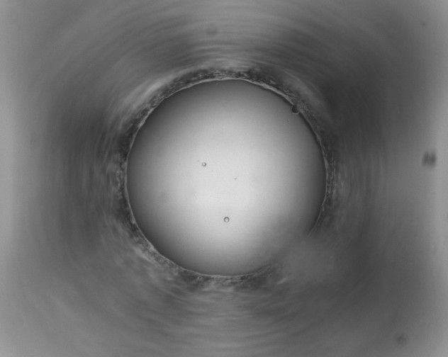 X0000113560773200910091414