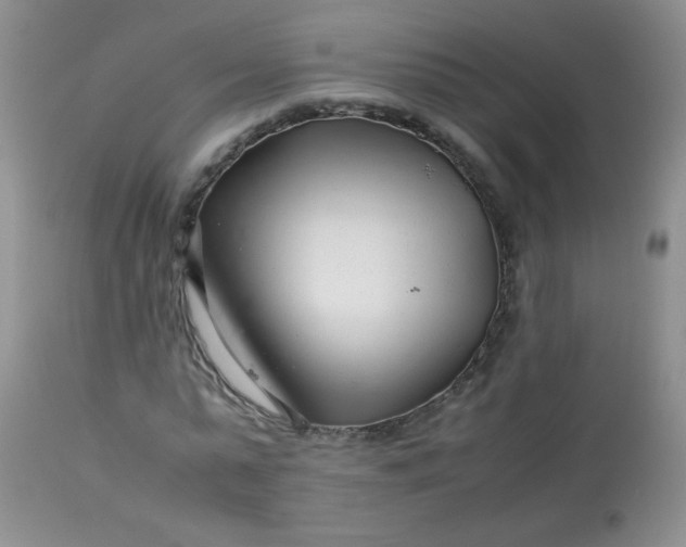 X0000113560775200910091414