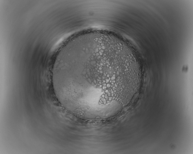 X0000113560776200910091414