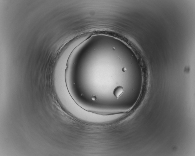 X0000113560777200910091413