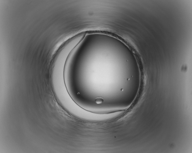 X0000113560781200910091413