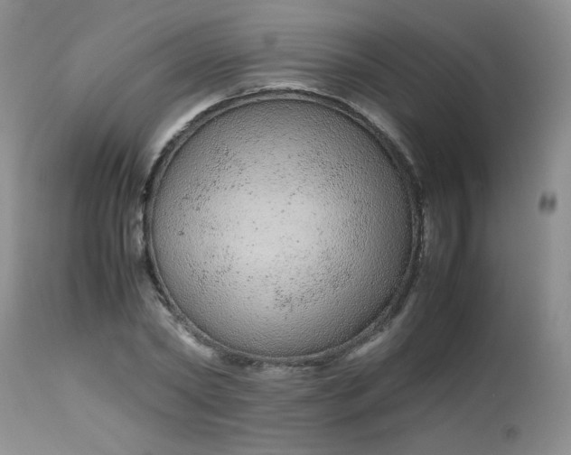 X0000113560782200910091413