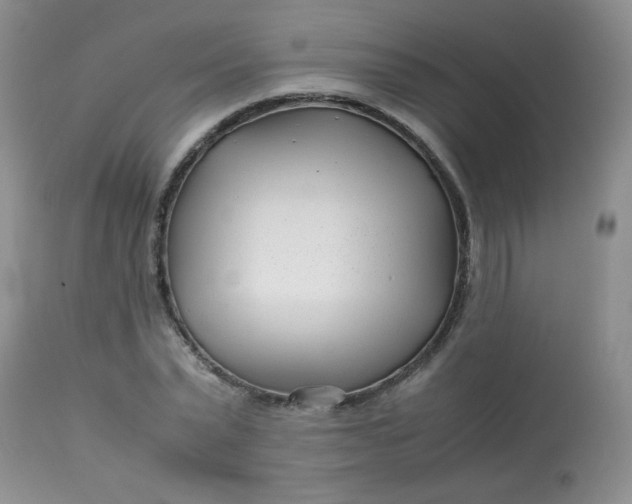 X0000113560783200910091413