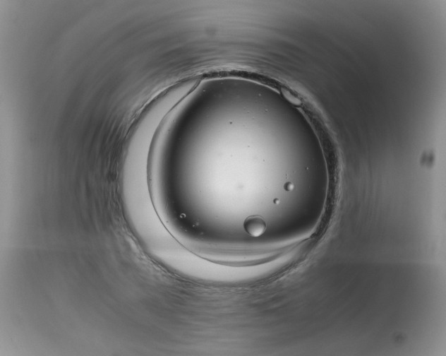 X0000113560785200910091413