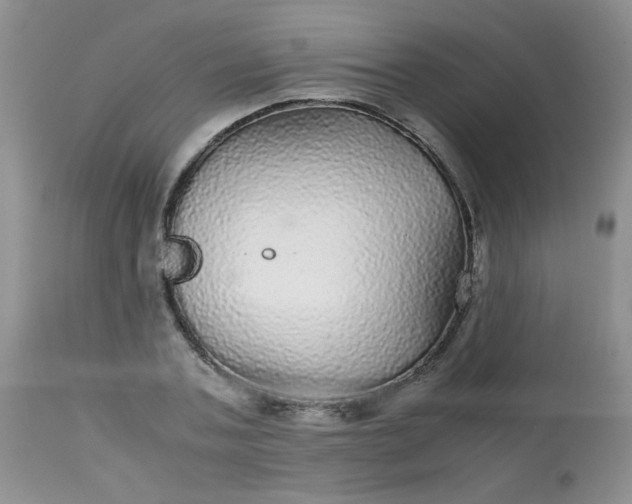 X0000113560787200910091413