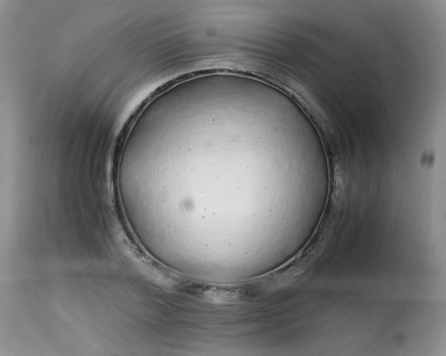 X0000113560788200910091413