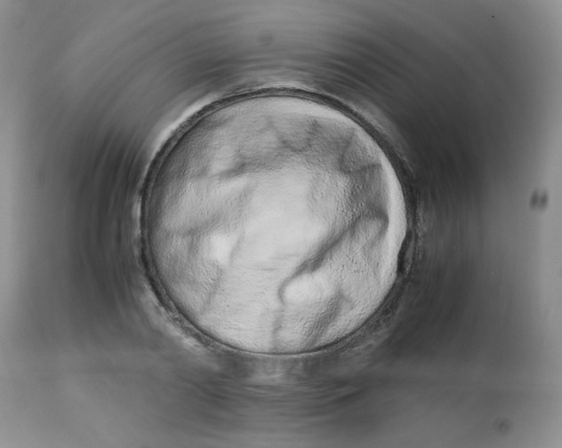 X0000113560790200910091413