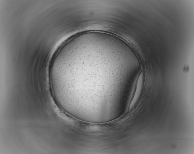 X0000113560792200910091413