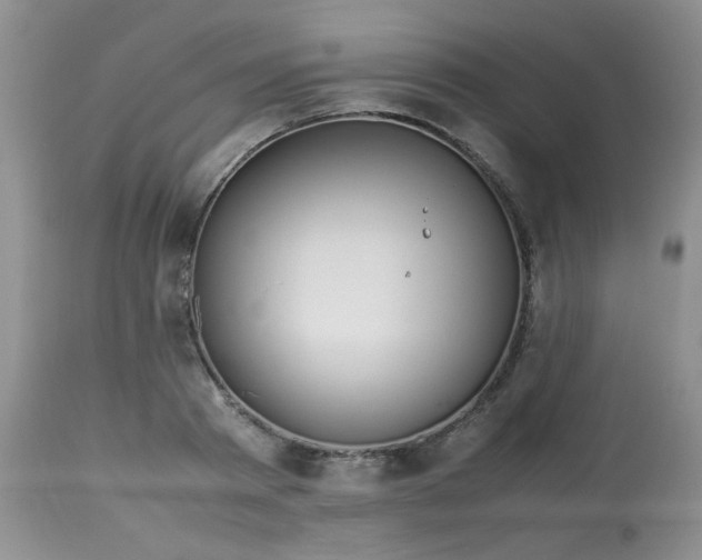 X0000113560793200910091413