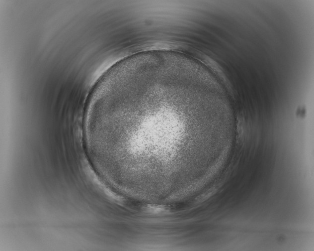 X0000113560794200910091413