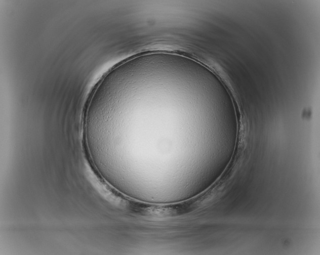 X0000113560795200910091413