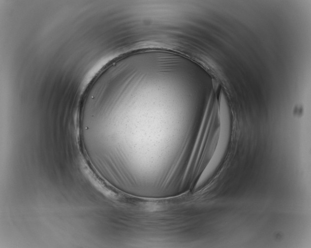 X0000113560796200910091413