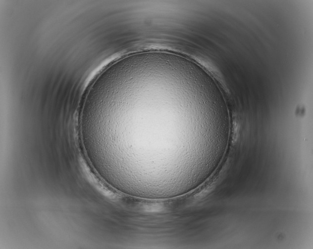 X0000113560798200910091413