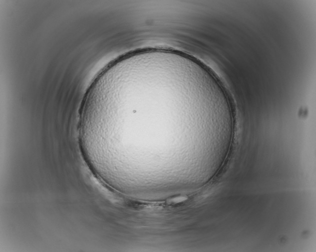 X0000113560799200910091413