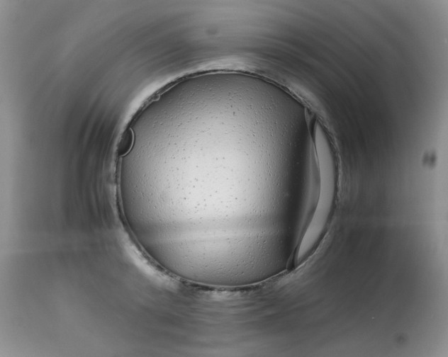 X0000113560800200910091413