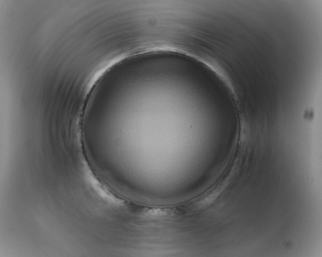 X0000113560806200910091413