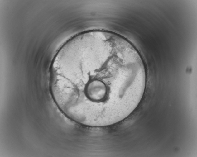 X0000113560807200910091413