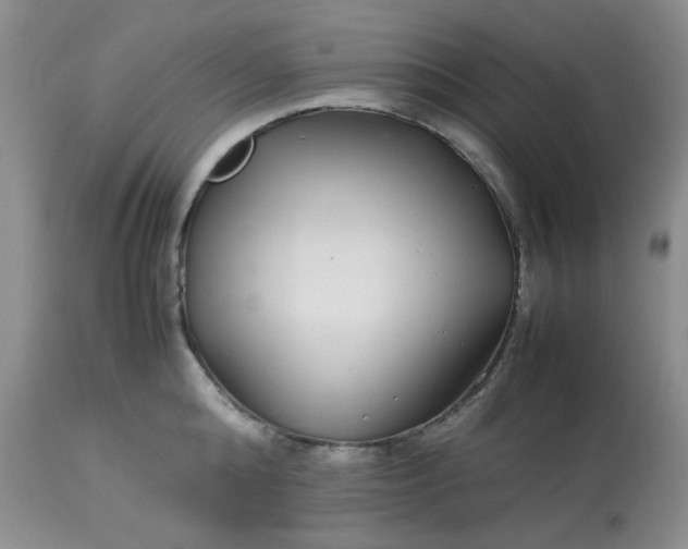 X0000113560808200910091413