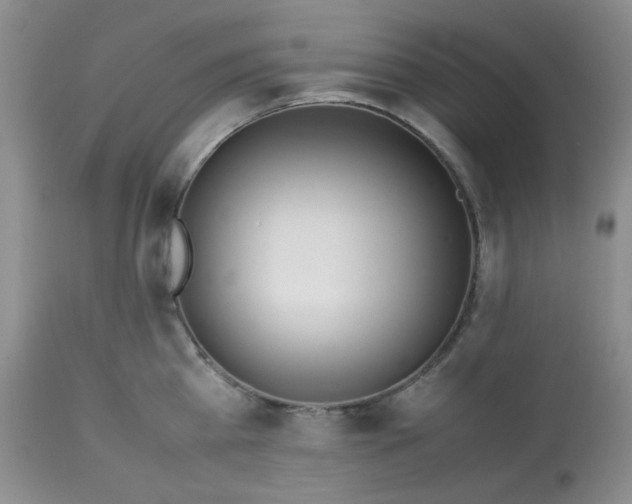 X0000113560809200910091413