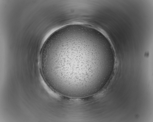 X0000113560811200910091413